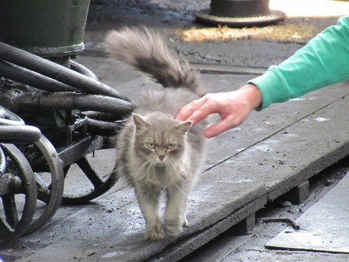 Чубайсик