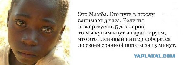 Смешные комментарии из социальных сетей (часть 5)