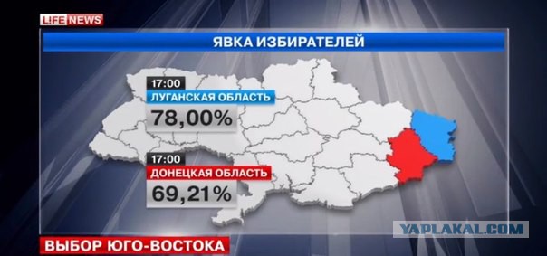 Подборка фото с референдума