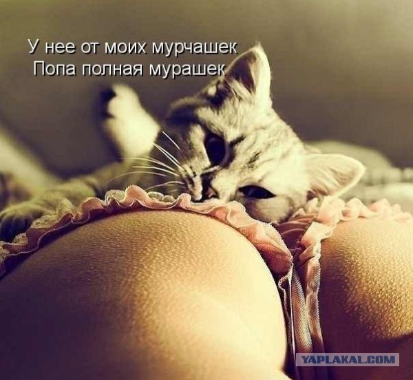 Импровизация, бачата