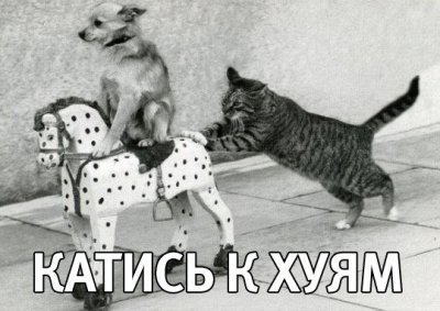 Весь мир и Россия