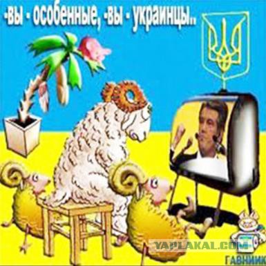 Гуманитарная колонна пошла в Луганск