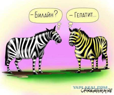 Немного смешных картинок из сети
