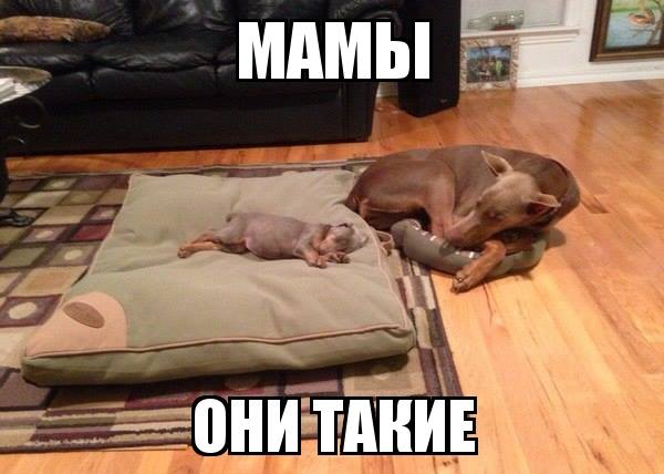 Картинки