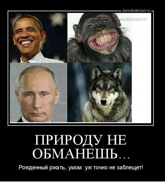 Юмористический журнал "Баян"