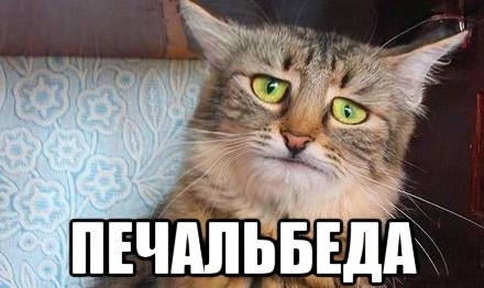 Ходят слухи что на днях упадет тенге
