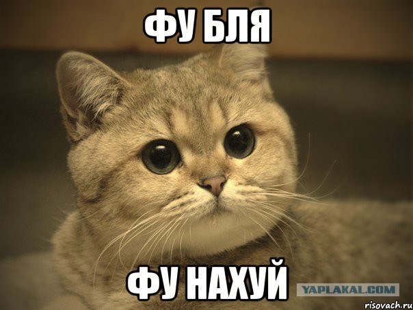 Отжарил за завтраком