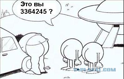 Новогодний квест