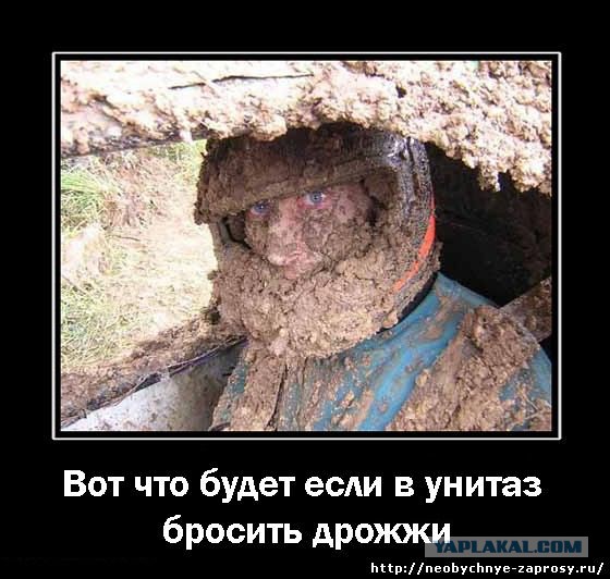 Как я строил дом