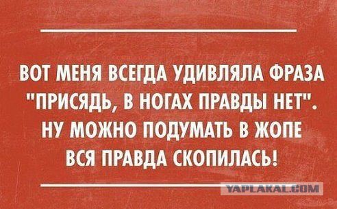 Весёлое из сети