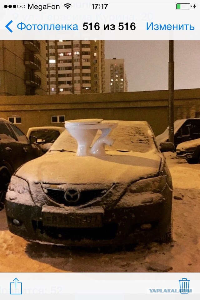 Забавные картинки из интернетов