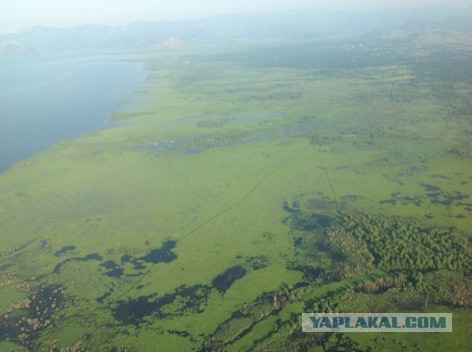Не полёт, а Полёт!