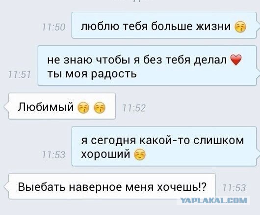 Прикольные картинки из интернета