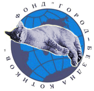Инструкция: как правильно купать кота