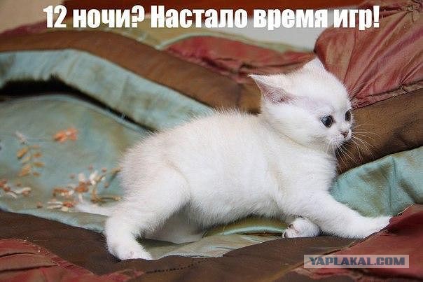 Для поднятия настроения