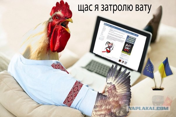 Год силовой операции на востоке Украины