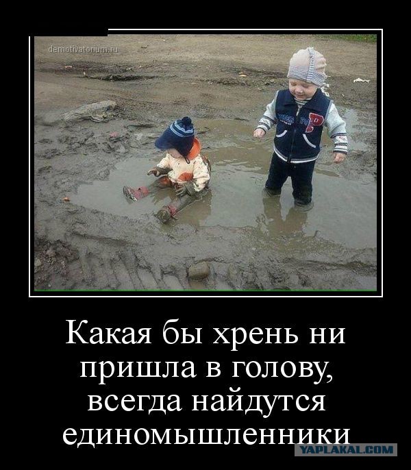 С ними не соскучишься.