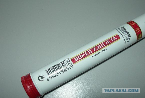 ЯП, С Днём Рождения !
