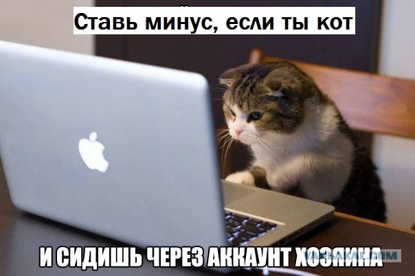 Когда вы минусуете уже заминусованного