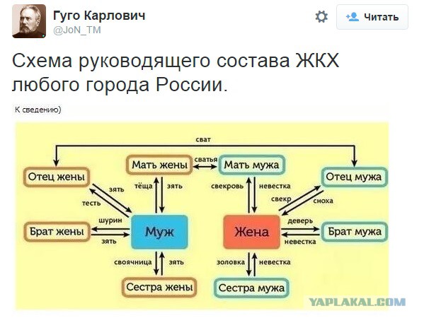 В Ростовской области сын мэра купил парк отдыха