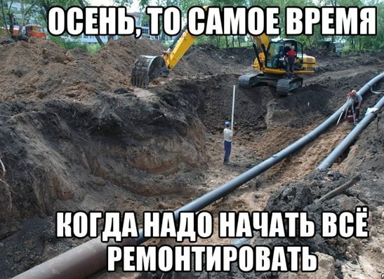 Подборка прикольных фото на пятницу