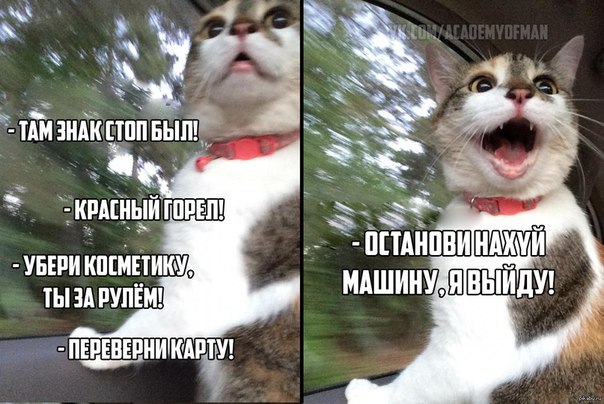 Депрессивный понедельник