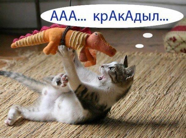 Картинки и демотиваторы