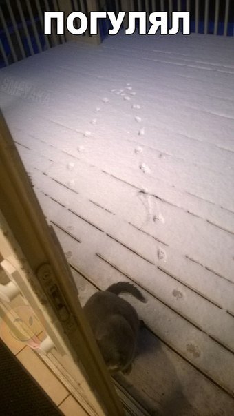 Немного картинок