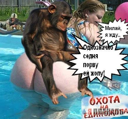 Грустный самец