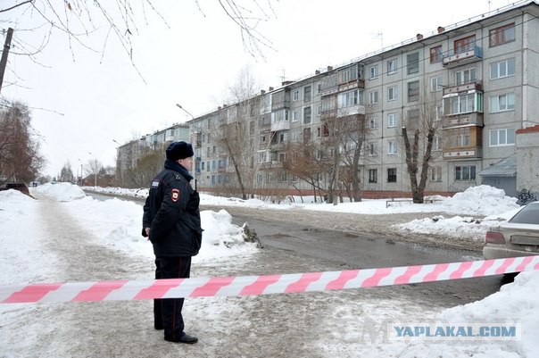 В Петербурге перестали сыпать соль на дороги. Итоги