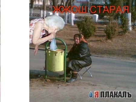 Фотожаба: Бабка и мусорный бак