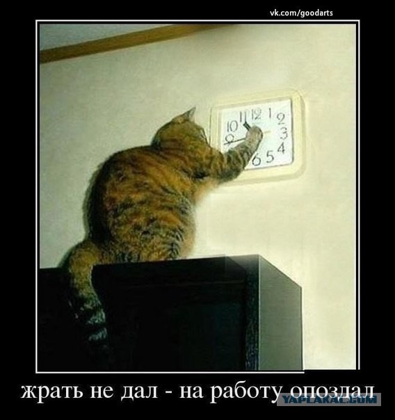 Подборка картинок из сети
