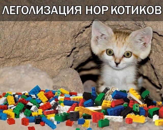 Абсурдный юмор ч.15