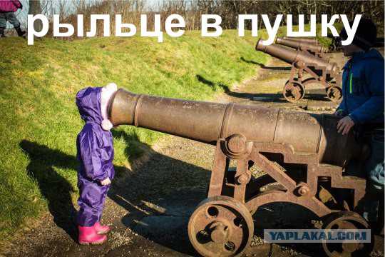 Подборка идиотских фотографий часть 3