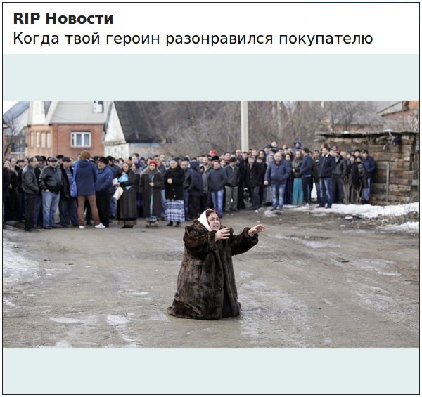 Картинки из сети, бессмысленные и беспощадные