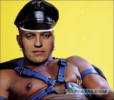 Немного политических карикатур