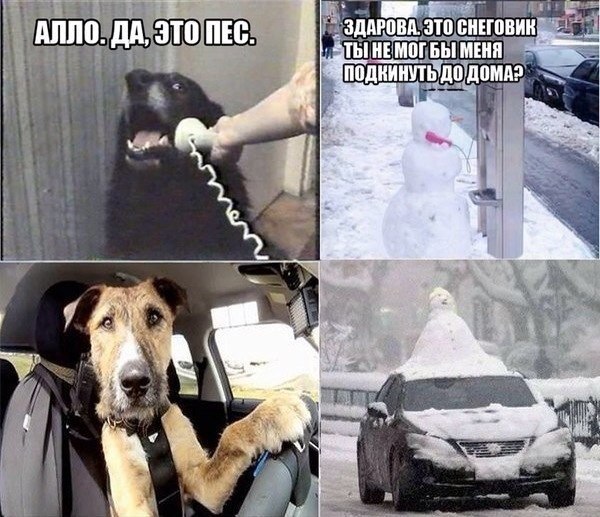 Майский черный юморок