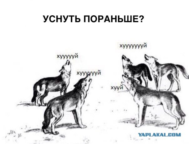Ударная доза тупежа на начало недели