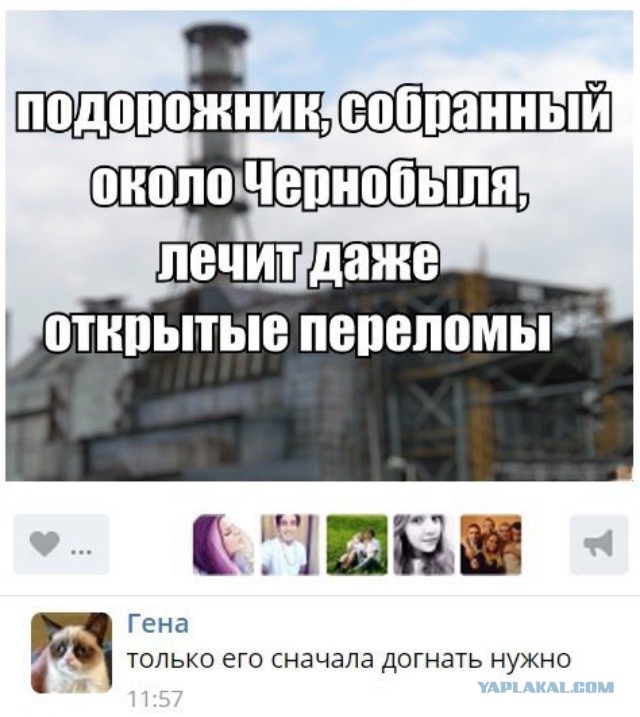 Подборка картинок с просторов...