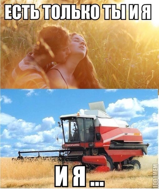 Птиц засасывает вместе с зерном на хлебозаводе