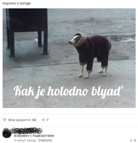 Ужасы и приколы из соцсетей 18+