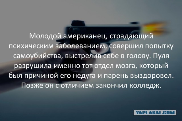 40 интересных фактов в картинках. Продолжение