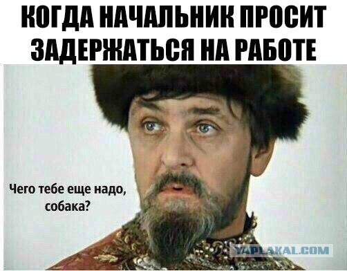 Картинок всяких
