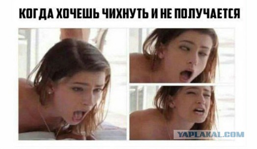 Деградации ЯПу