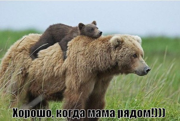Просто веселые картинки. Иногда абсурдные, а иногда и с черным юмором