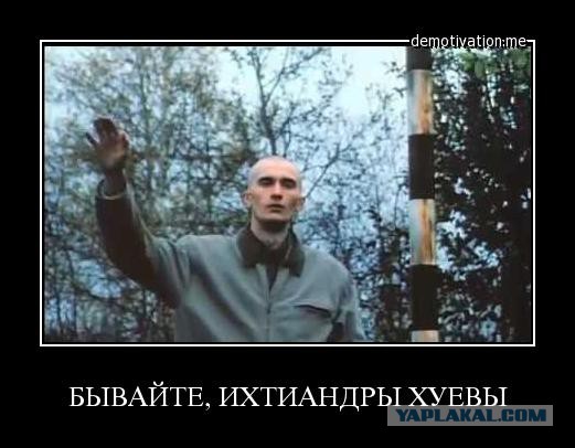 Панин поддержал Серебрякова и назвал Россию страной хамов