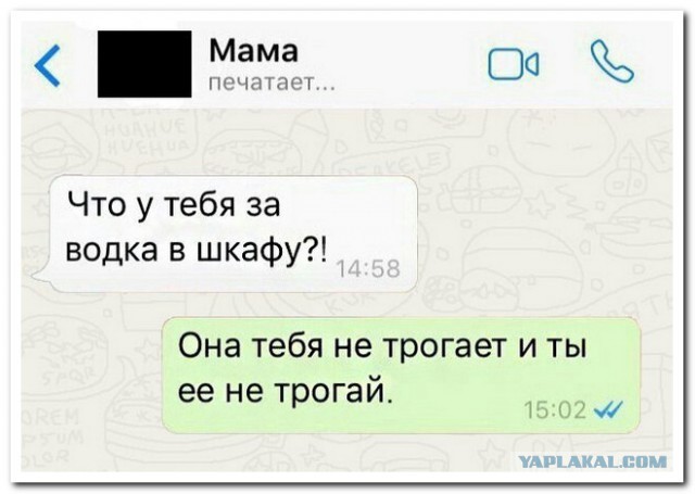 Бросай работать, пошли деградировать!