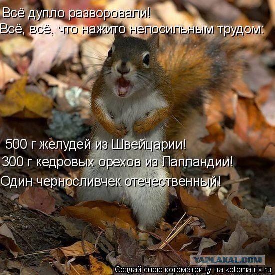 Белки