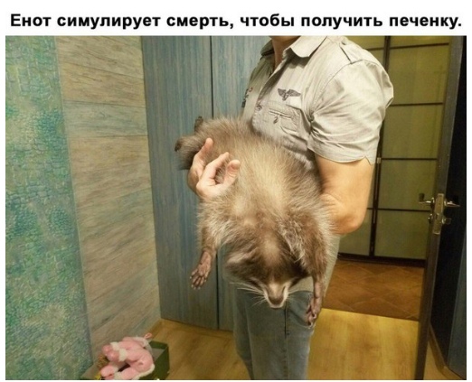 Немного картинок на вечер