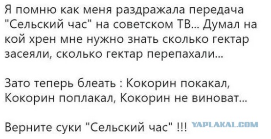 Россияне назвали самого раздражающего ведущего на ТВ
